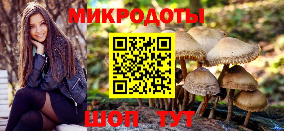 Псилоцибиновые грибы GOLDEN TEACHER Грозный