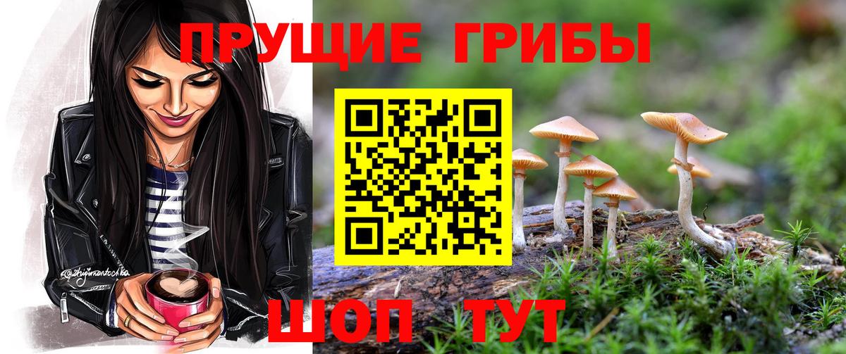 Псилоцибиновые грибы Magic Shrooms  Вход с VPN  Галлюциногенные грибы Cubensis  купить закладку  Грозный 
